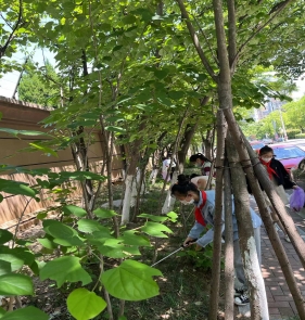 微信图片_202205051353301