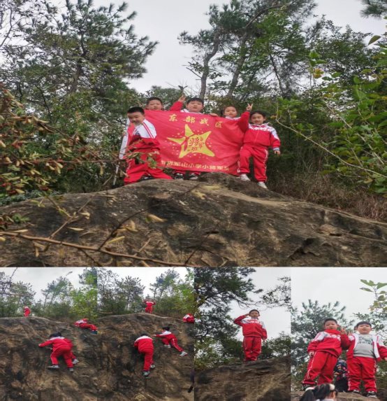 0c570f5d90d67ecfb54decd5494476b6