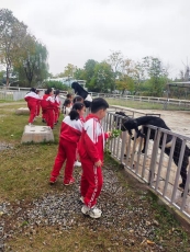 97356889940d4b79c20d2cf8542a65c5