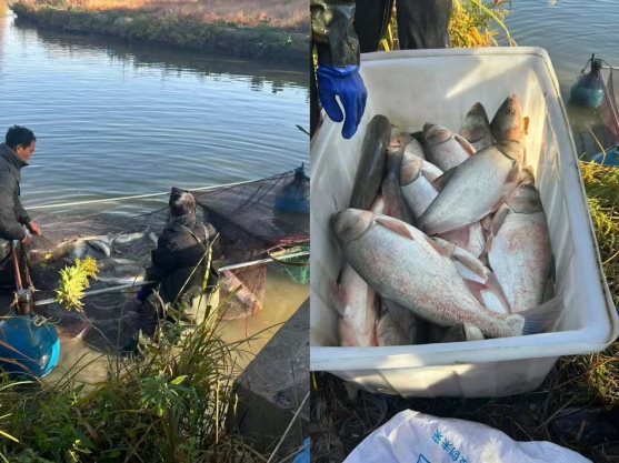 407856abc7f213169a3dad79151eaa7d