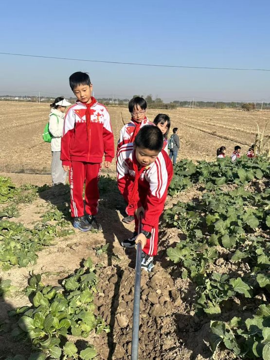 06b0b283653a4e2bb20965e1f794cc34