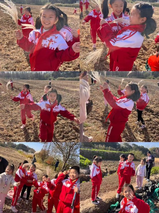 f125d00733caed199c6aeece1409439d