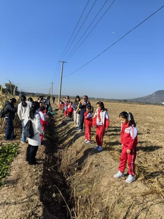 dd60a78488c784c17691ca64647ea2fa