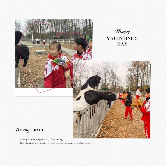 767147d463f190e19dafdc755e1b18de