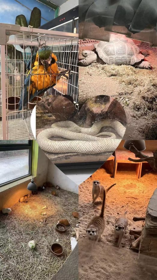 1fe41aa5fccfa0bbaa42a39d44e8105d